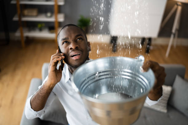 Best Flood restoration services  in Falmouth, KY