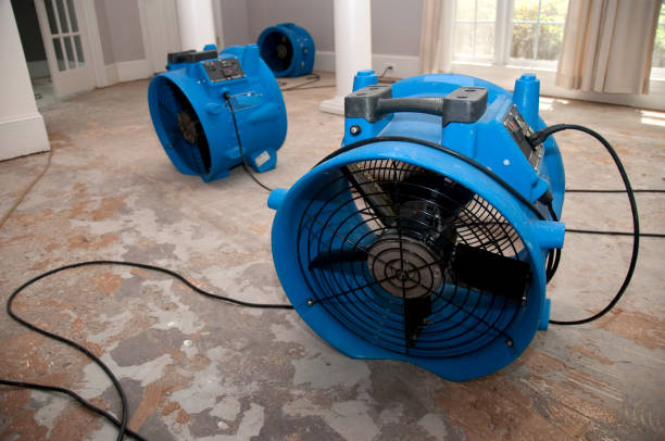 Trusted KY Water damage restoration Experts